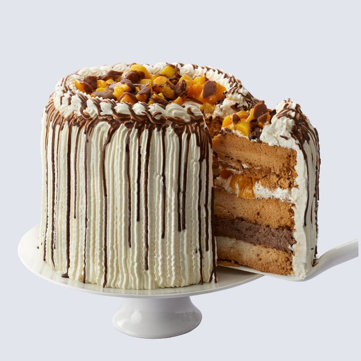 Conti’s Mango Bravo – a bestselling frozen mango cake with layers of fluffy chiffon, whipped cream, and sweet mango chunks, topped with chocolate drizzles. A must-try celebration cake!